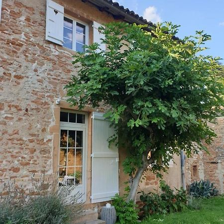 Le Gite Du Carge D'Arlay Charnay-lès-Mâcon Extérieur photo